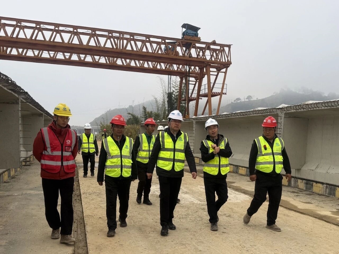 1766365247306026.jpg 2 (2).jpg